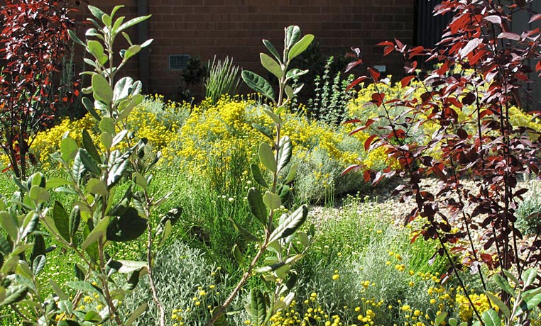 Canberra Gardens